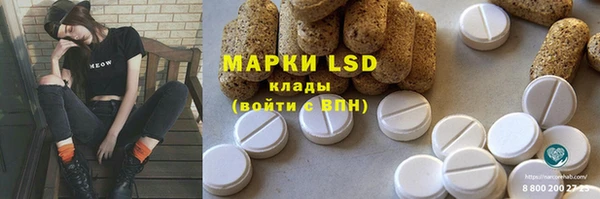 ECSTASY Богданович