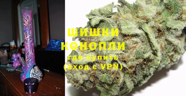 ECSTASY Богданович