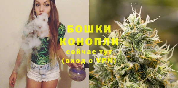 гидропоника Белоозёрский