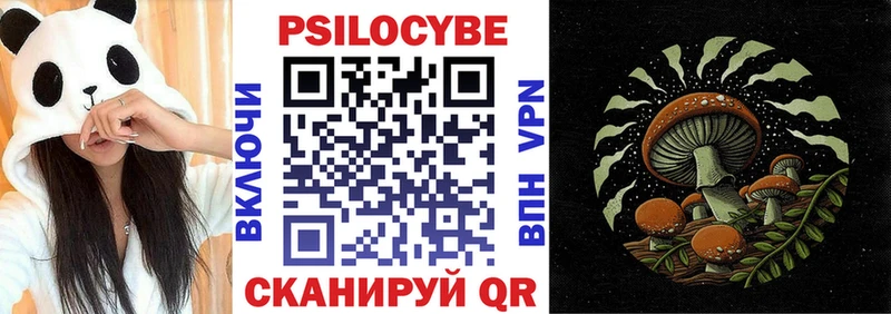Псилоцибиновые грибы Psilocybe  Няндома 